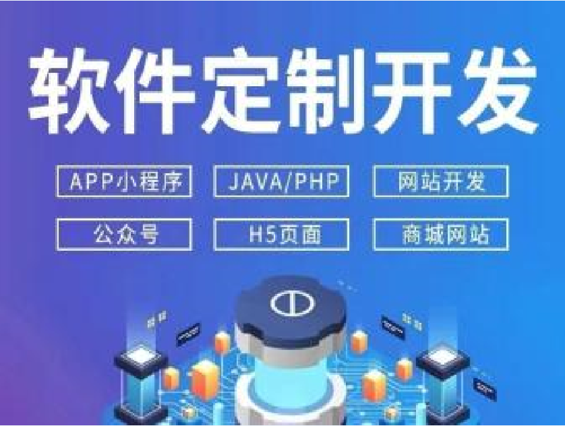 信息技术咨询服务：选择与成长